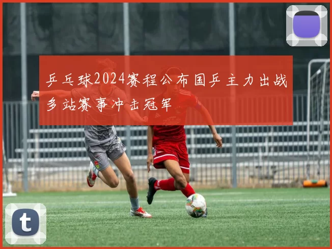 乒乓球2024赛程公布国乒主力出战多站赛事冲击冠军