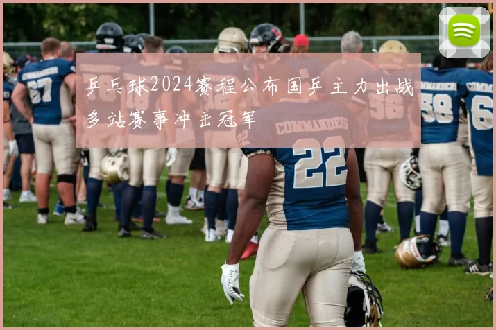 乒乓球2024赛程公布国乒主力出战多站赛事冲击冠军